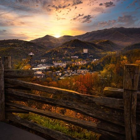 Heavenly Bear, Hot Tub, 1089 Of Free Attraction Tickets For Each Paid Day, Dollywood And More Sevierville Esterno foto